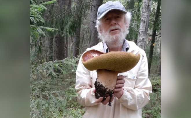 Гигантский белый гриб весом 1,6 кг нашли в лесу под Выборгом