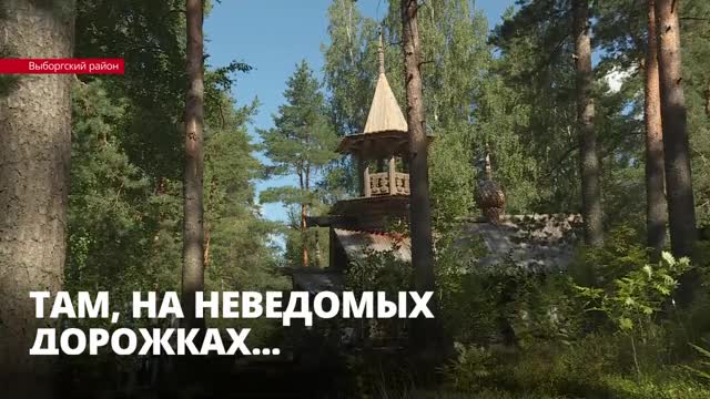 В Ленинградской области появятся новые экомаршруты. В чем их популярность?