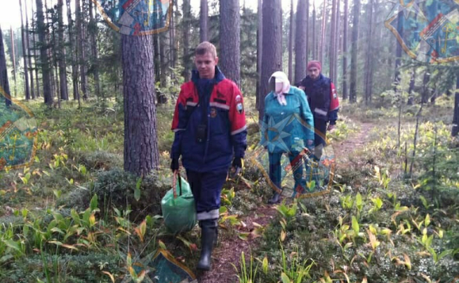 Спасатели вывели из леса в Ленобласти заблудившуюся женщину