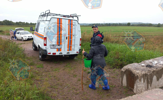 Пенсионерку в Волховском районе вывели из леса спасатели