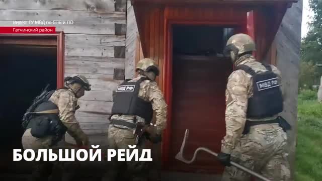 После рейда в Кобралово и Больших Колпанах в отделения доставлены 20 человек