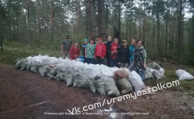 В лесу около деревни Немятово добровольцы собрали 95 мешков мусора