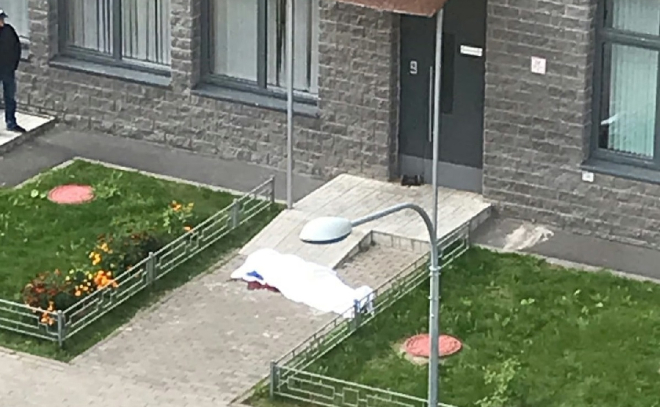 Труп упавшего с многоэтажки в Мурино несколько часов лежит на крыльце детского сада