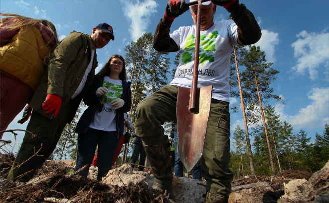 Фото: как прошла всероссийская акция «Сохраним лес»