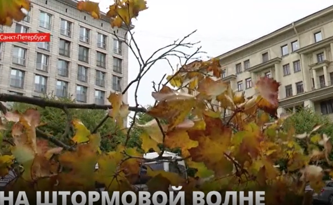 Непогода в Петербурге разбушевалась - оставила город без 30
деревьев