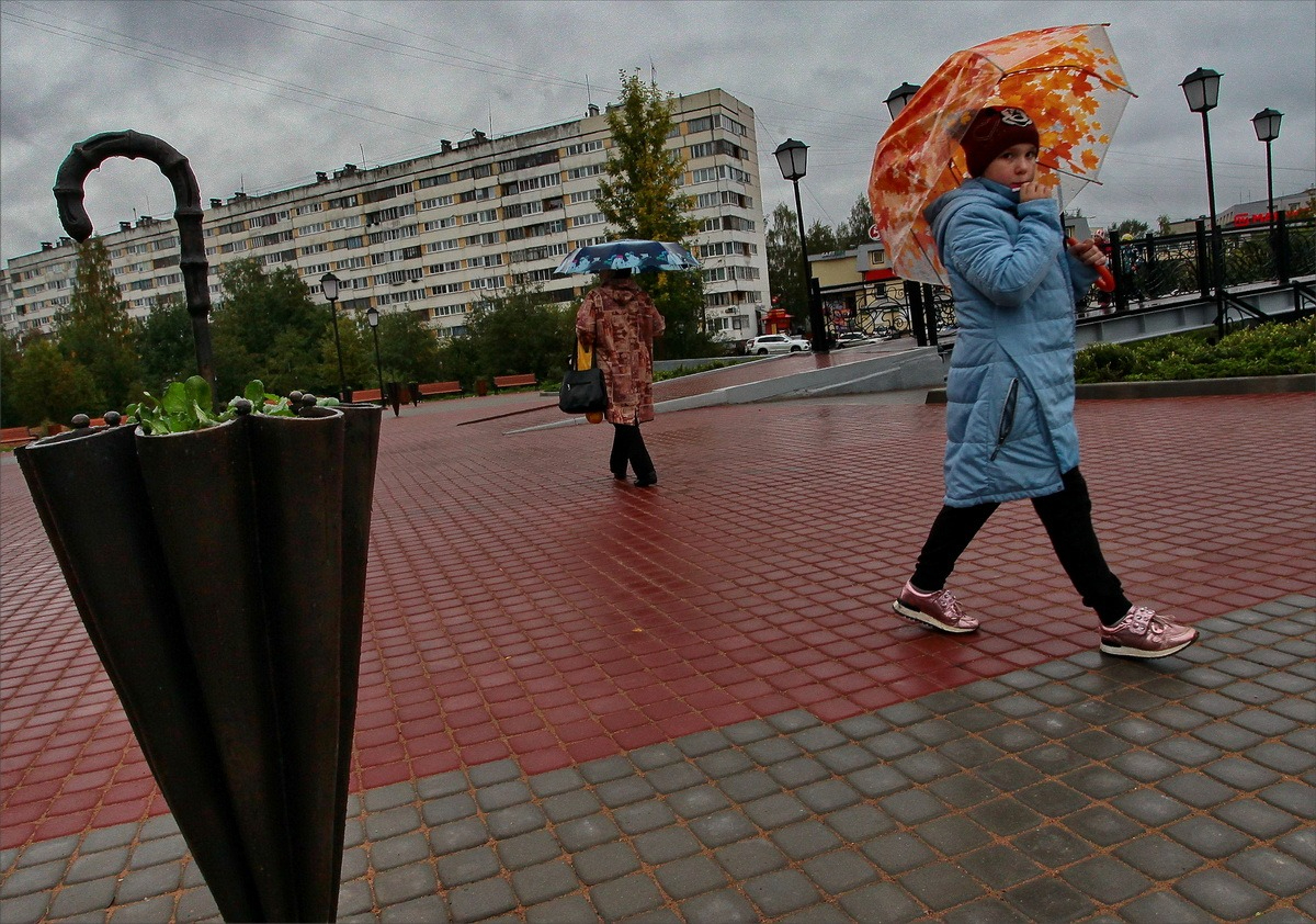 Погода 14 февраля 2024 года. Теплая погода. Дождик в сентябре в Петербурге. 9 Мая СПБ. Холодный сентябрь.