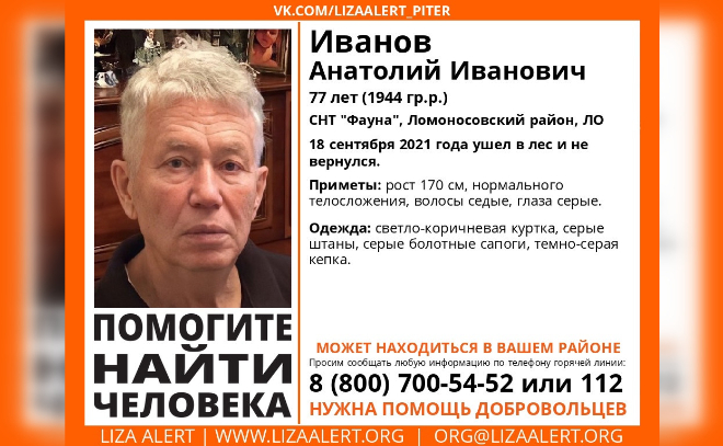 В Ломоносовском районе 77-летний мужчина два дня назад ушел в лес и не вернулся