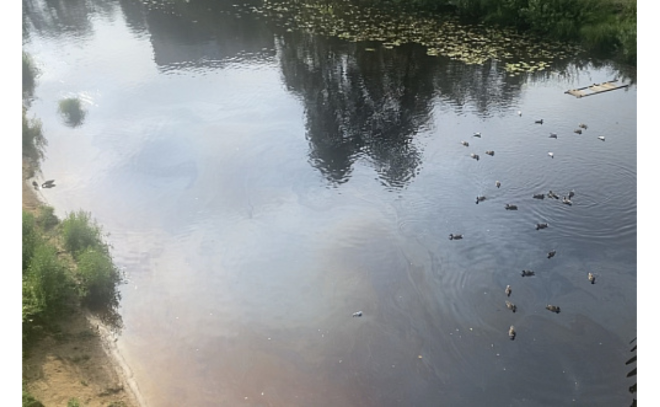 Сосновоборский «Водоканал» получил штраф в 250 тысяч за загрязнение реки Коваши