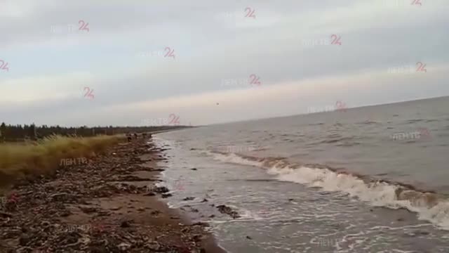 После крушения судна в Белом море возбуждено уголовное дело