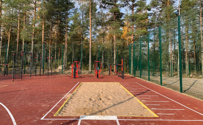 В школе Выборгского районе появилась универсальная спортивная площадка