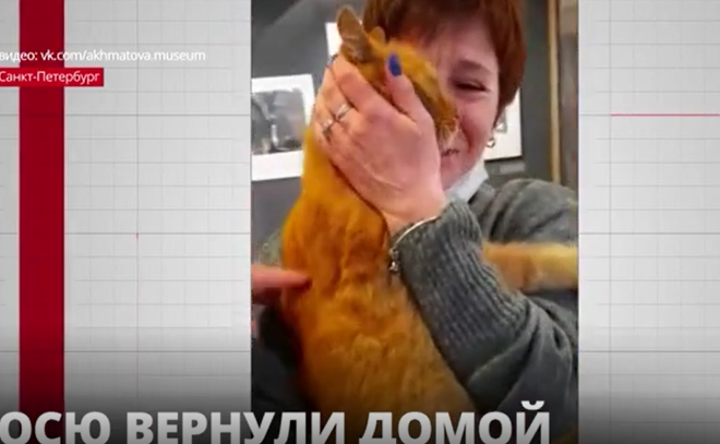 «Похищенного» кота Осю вернули в музей Ахматовой