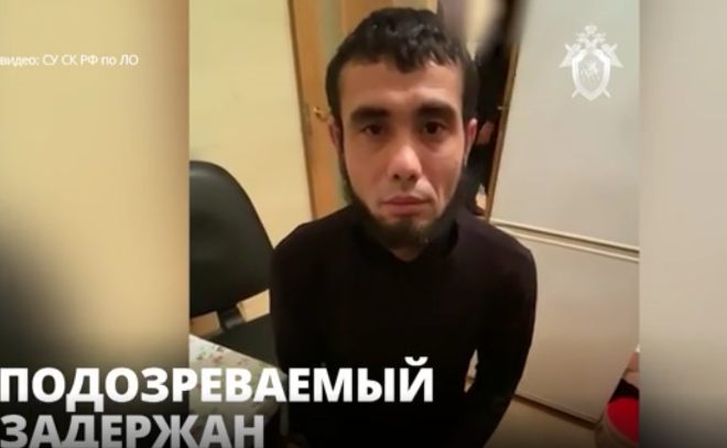 Во Всеволожском районе задержали гражданина иностранного
государства, которого подозревают в серии изнасилований