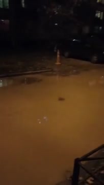 Во Фрунзенском районе Петербурга затопило двор