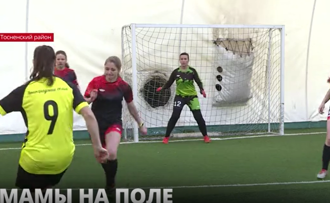 В Тосненском районе прошёл турнир по мини-футболу среди любительских женских
команд
