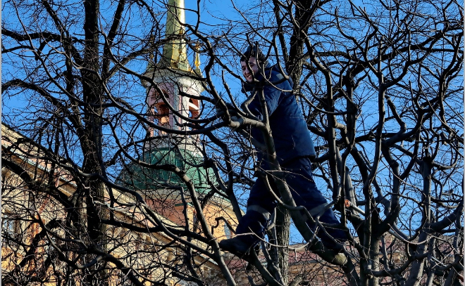В Петербурге мужчина пытался ограбить церковь Михайловского замка