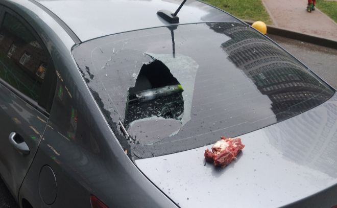 В Мурино прилетевший с неба кусок мяса разбил стекло автомобиля