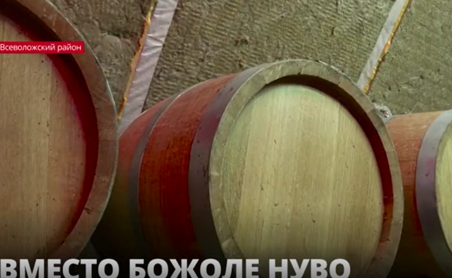 Вино во Всеволожском районе: о богатой
культуре виноделия и современных подходах к делу в Ленобласти