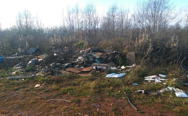 Эконадзор нашел в Бокситогорском районе 165 кубов мусора в неположенных местах