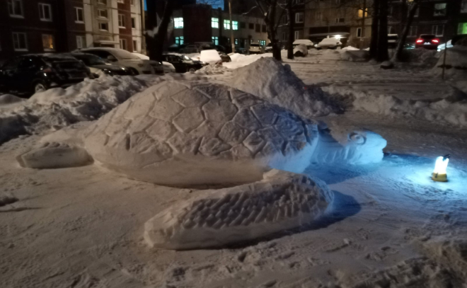 Огромную морскую черепаху из снега слепили жители двора в Выборге