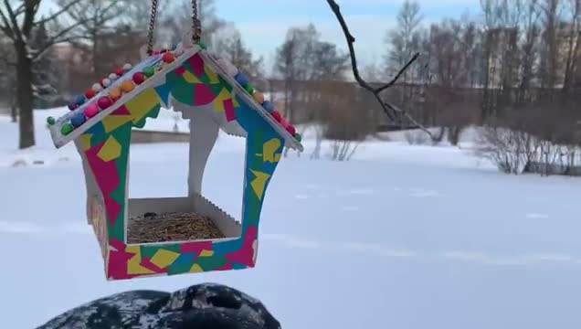В парках Петербурга появляются авторские кормушки с лакомствами для птиц