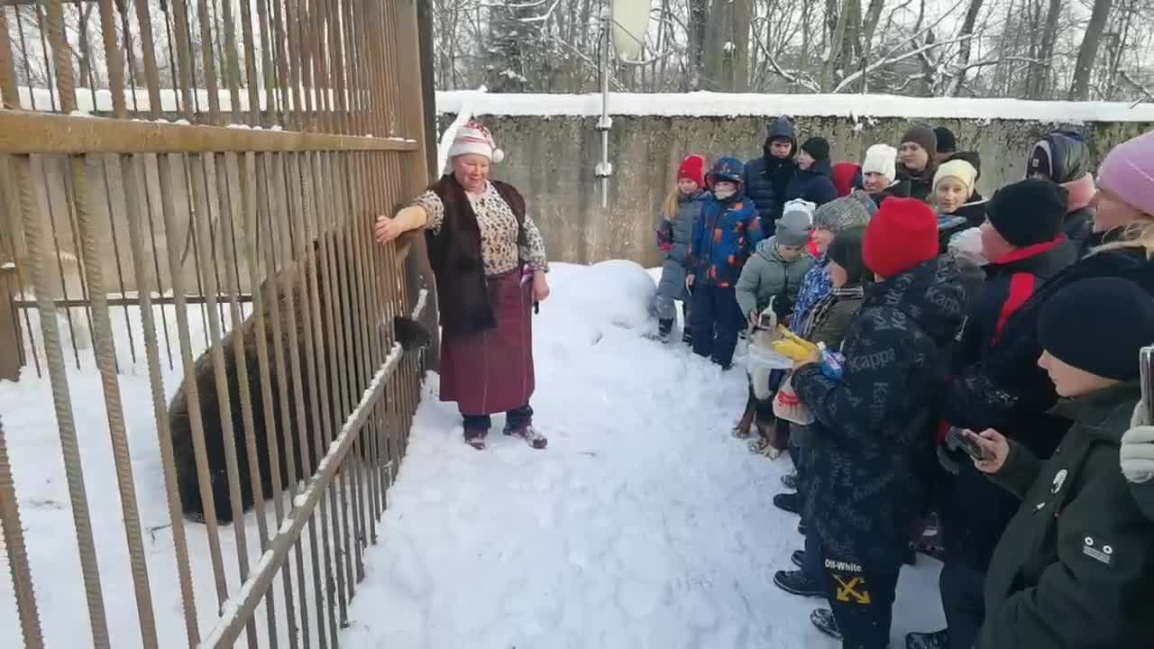 Медведицу Винни из приюта в Волосовском районе отправили в зимнюю спячку
