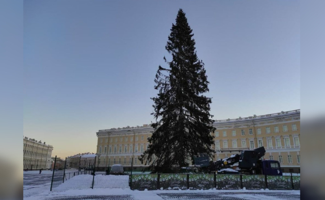 Петербуржцы удивлены внешним видом новогодней ёлки на Дворцовой площади
