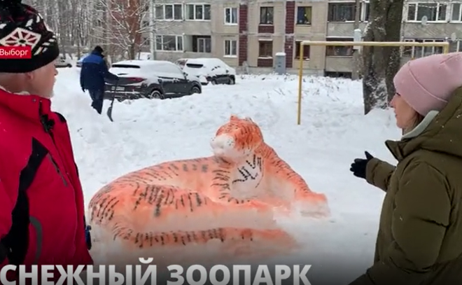 В Выборге местный житель создал из снега уникальные фигуры зверей