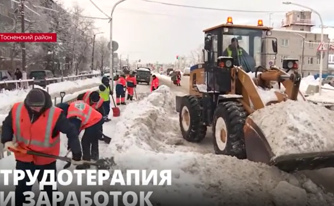 Трудотерапия и заработок: в Тосненском районе очищать дороги от снега вышли подопечные
реабилитационного центра