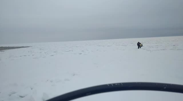 Сотрудники МЧС спасли рыбака на отколовшейся льдине в Финском заливе