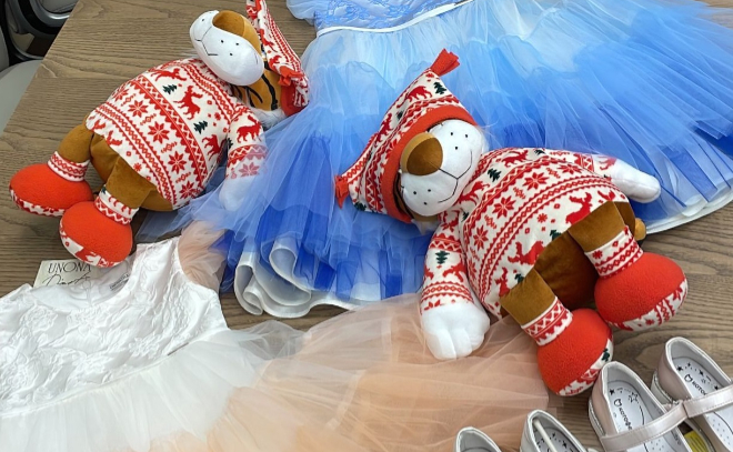 Сенатор Сергей Перминов отправил посылку с новогодними подарками маленьким близняшкам из Новогорелово