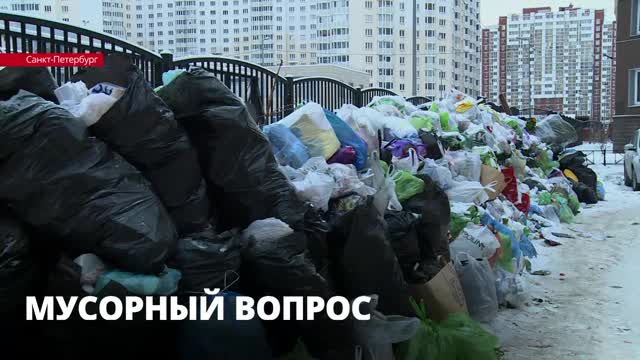 «В силах каждого жителя Петербурга сократить количество отходов, которое он производит»: руководитель движения «Раздельный сбор»