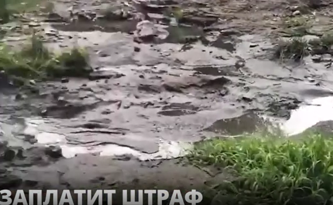«Леноблводоканал» заплатит штраф – 60 тысяч рублей за сброс загрязнённых стоков в лесной массив и в реку Рощинку