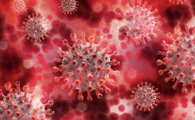 Китайские учёные предупредили о новом опасном штамме коронавируса