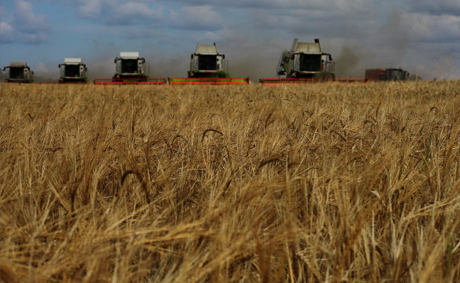 В Выборгском районе Ленобласти запретили ввоз 100 килограммов зараженной пшеничной муки