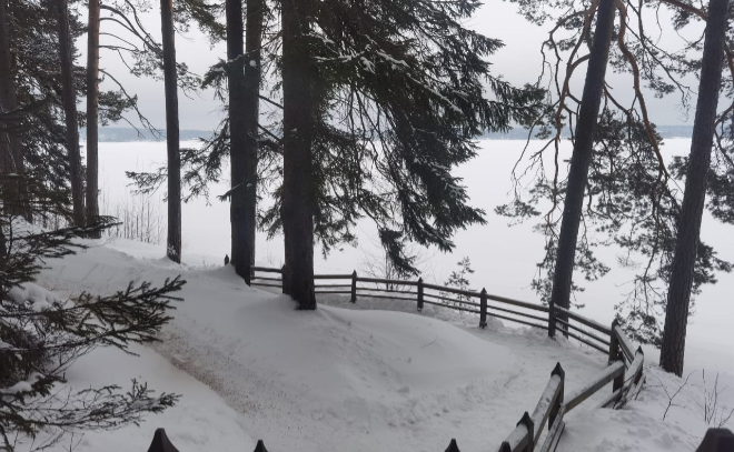 Экомаршрут в природной части «Монрепо» открыли для любителей зимних прогулок