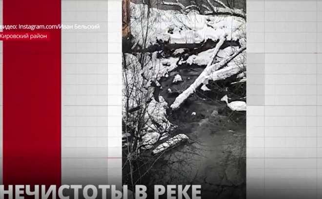 Жители Отрадного публикуют в соцсетях новые кадры с нечистотами в реке Святка