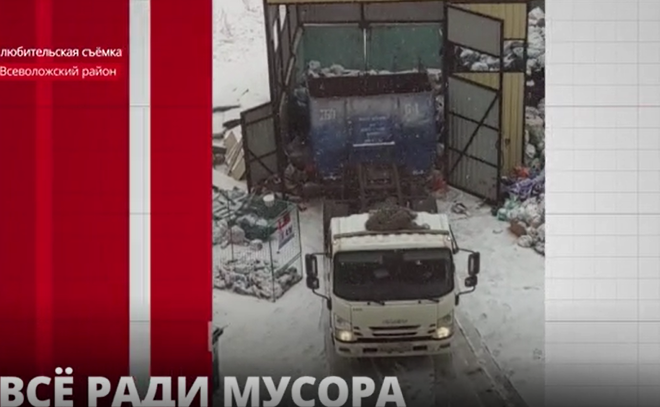 Жители Кудрово поделились кадрами, на которых водитель
мусоровоза трамбует горы отходов