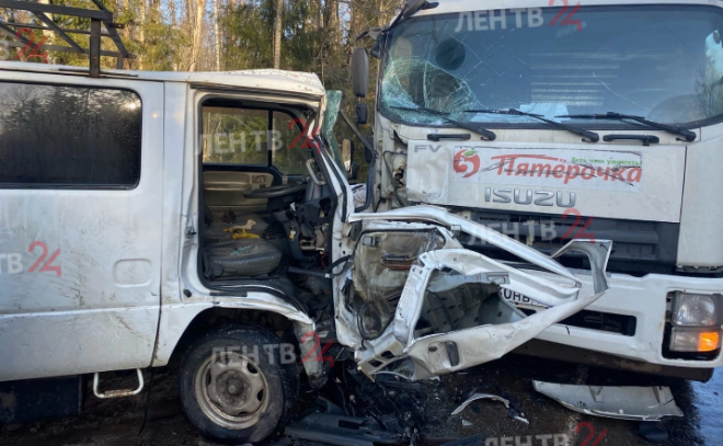 В результате лобового столкновения двух грузовиков в Кингисеппском районе одного из водителей зажало в кабине