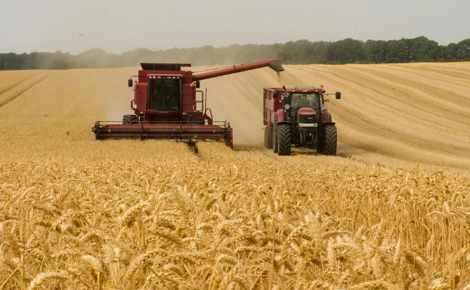 В России принимают меры по сдерживанию цен на продукты и поддерживают сельхозпроизводителей