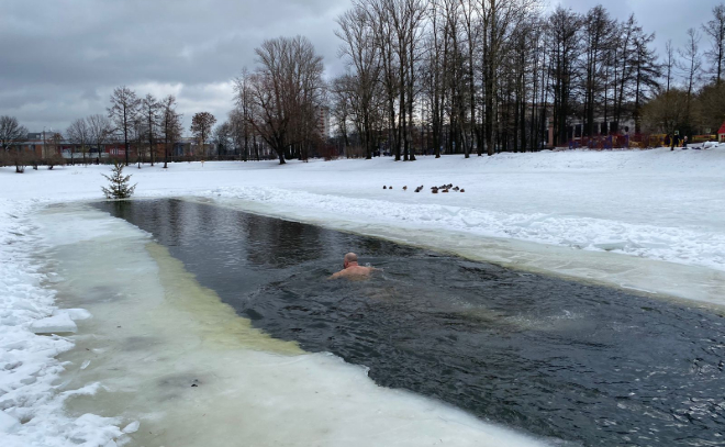 Гатчинские моржи в Санкт-Петербурге провели ледяной заплыв