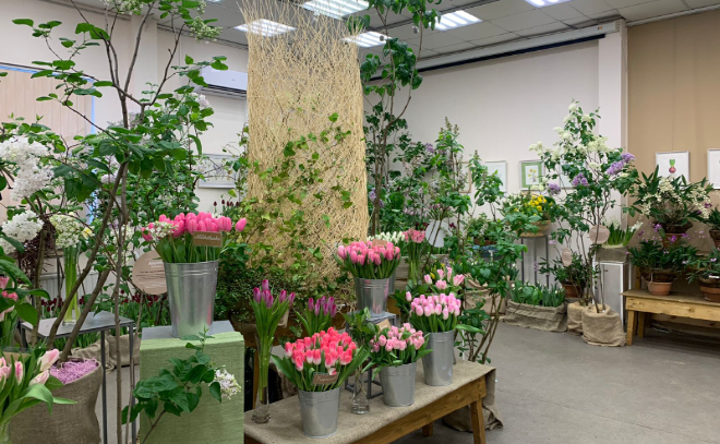 Более 60 видов цветов украсили выставку Ботанического сада в Петербурге