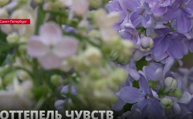 В Ботанический
сад Петра Великого пришла весна