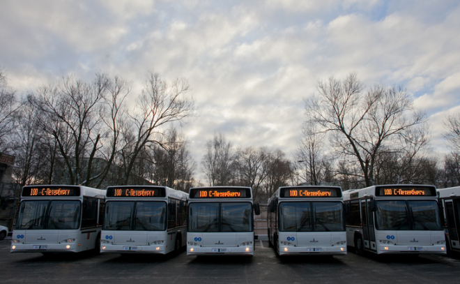 Весной в Петербурге появятся свыше 800 новых автобусов