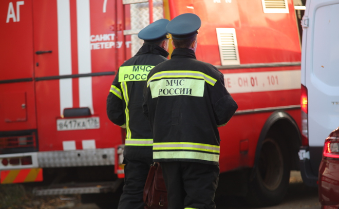 Во Всеволожском районе при пожаре в бытовке погиб 52-летний петербуржец