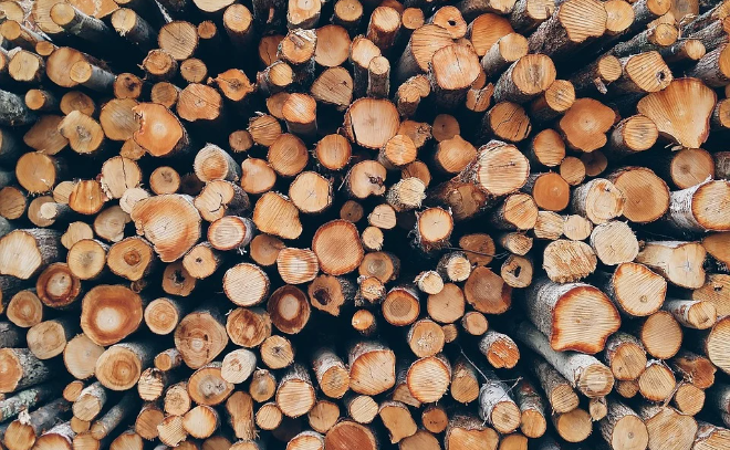 Минпромторг предложил запретить экспорт древесины в ЕС и США