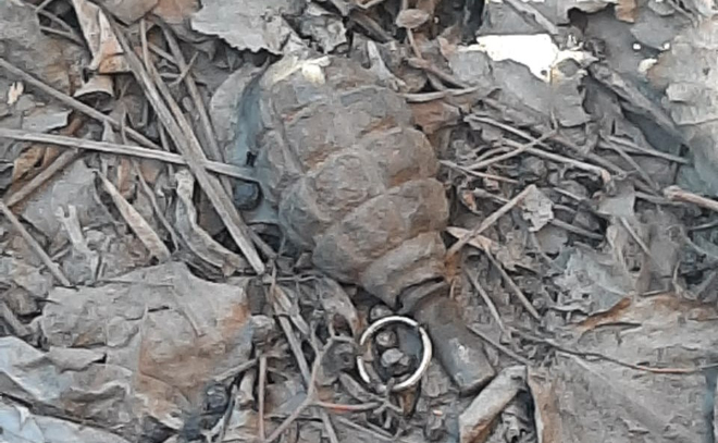 Росгвардейцы проверили найденные в двух районах Петербурга боеприпасы времён ВОВ