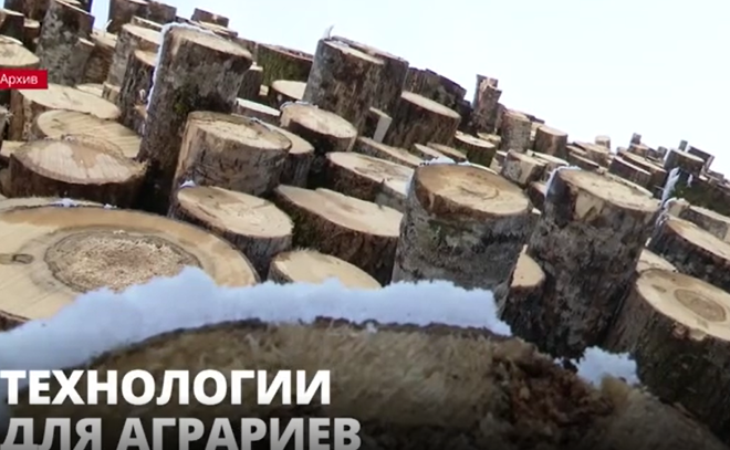 Правительство РФ разработало меры поддержки лесопромышленного
комплекса в качестве реакции на введенные санкции