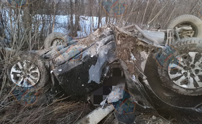 У поселка Молодцово легковушка вылетела в кювет — водитель погиб