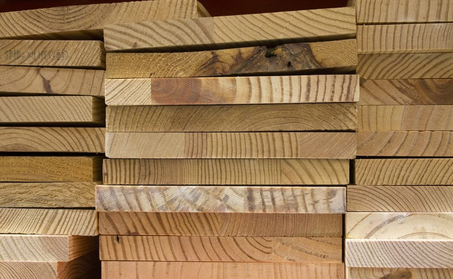 Петербургские таможенники выявили факты незаконного экспорта древесины на 76 млн рублей