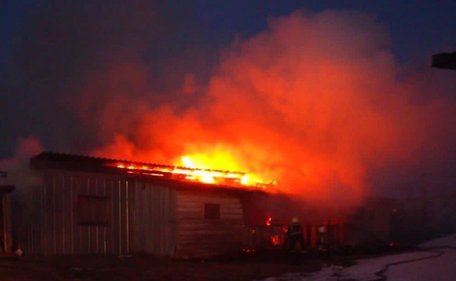 В пожаре в деревне Вартемяги погибли два человека